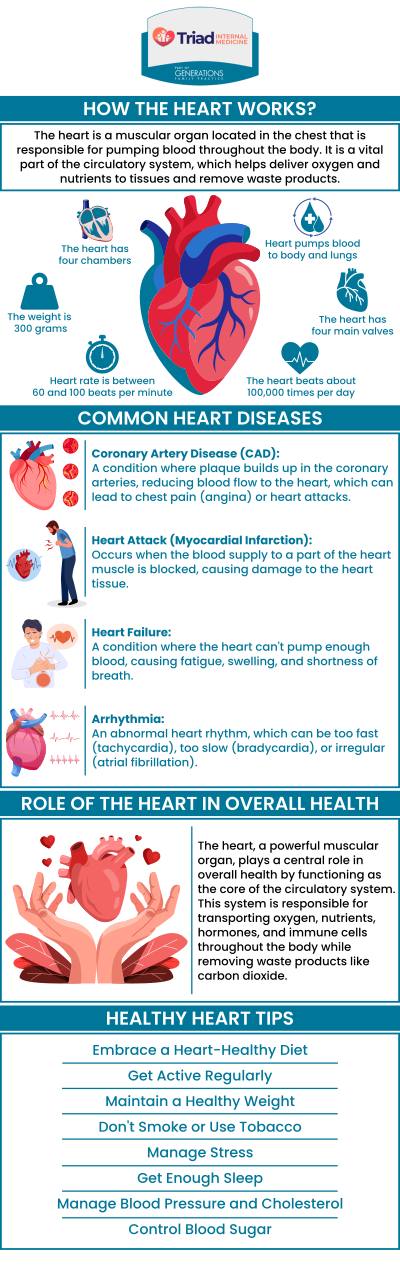 Promoting heart health is essential for a long and active life. Incorporating habits like regular exercise, a balanced diet, and managing stress can significantly reduce the risk of heart disease. Start today by adopting these 10 tips for a healthier heart and overall well-being. For more information, please contact us or book an appointment online. We are conveniently located at Dublin Square and Mack Road in Asheboro, NC.